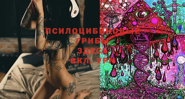 мяу мяу мука Алексин