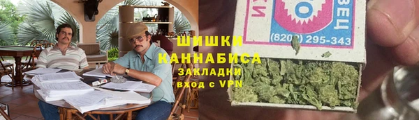 соль ск Алзамай